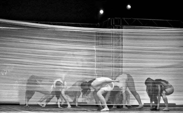 Art Dance - Corigliano Calabro (CS) - Diretta da Daniela Cosenza