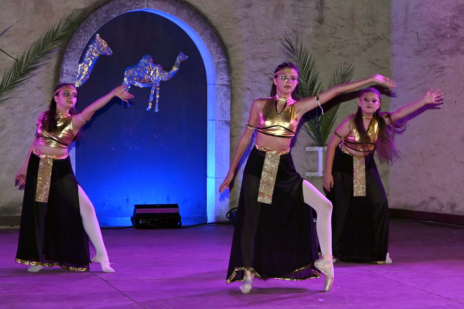 Centro Danza Paganini - Altomonte (CS) - Acquaformosa (CS) - Firmo (CS) - Lungro (CS) - San Sosti (CS) - Brunilda Lato