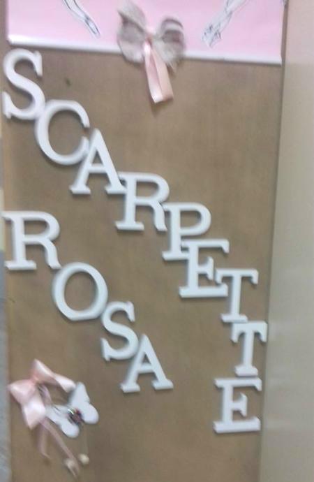 ASD - Scuola di Danza - Scarpette Rosa - Trebisacce (CS) - Direzione Francesca Smilari